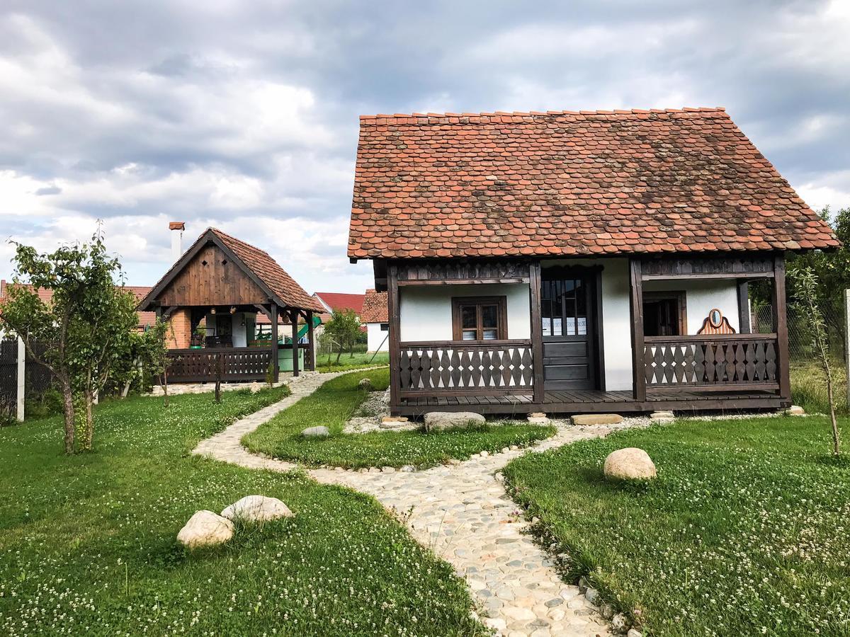 Conacul Maria Theresa Orlat Экстерьер фото